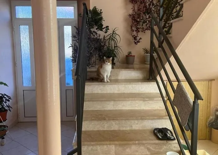 Zora Apartman Biograd na Moru